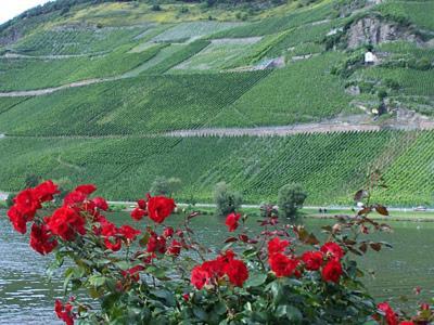 Anneliese Schmitgen Bed & Breakfast Bernkastel-Kues Dış mekan fotoğraf